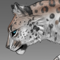 ANI-1167:  African Leopard (M)