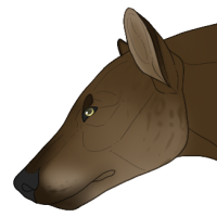 Thumbnail image for ANI-1238: Nala