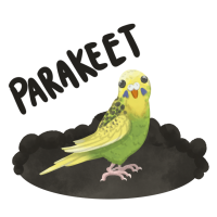 Thumbnail image for ANI-1242: Honeydew - Parakeet (F)