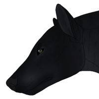 Thumbnail for ANI-1250: Guinness