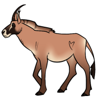 ANI-1253: Marie