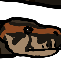 Thumbnail image for ANI-1267: Zackery  (M)