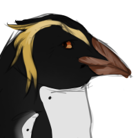 Thumbnail of ANI-1287: Rockhopper Penguin (F)
