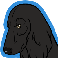 Thumbnail image for STAFF-054: Cormorant