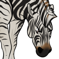 Thumbnail image for ANI-1356: Fiona (F)