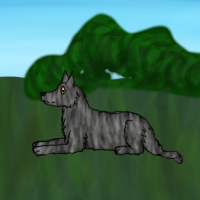 Thumbnail image for ANI-1376: Faolan