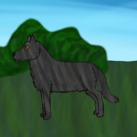 Thumbnail image for ANI-1377: Killian