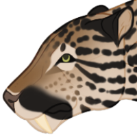 Thumbnail image for ANI-1498: Cairo