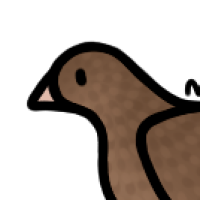 Thumbnail for ANI-1575: Domestic Quail Coturnix  (M)