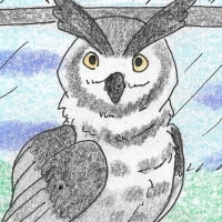 Thumbnail for ANI-1577: Bubo Osvaldoi (F)