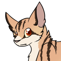 Thumbnail for ANI-1592: Areca