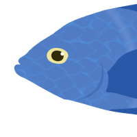 Thumbnail for ANI-1607: Azure
