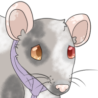 Thumbnail image for ANI-1657: Patches - Fancy Rat (M)