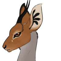 Thumbnail image for ANI-1664: Scowl