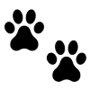 Ambassador Quest Token