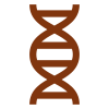Chocolate DNA