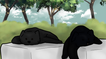 Submission thumbnail