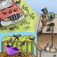 Submission thumbnail