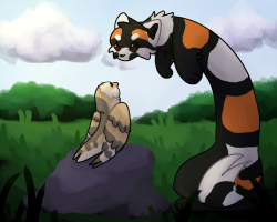 Submission thumbnail