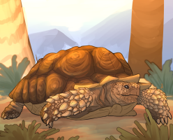 Submission thumbnail