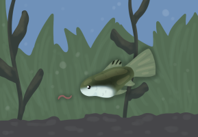 Submission thumbnail