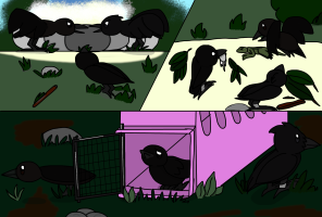 Submission thumbnail