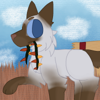 Submission thumbnail