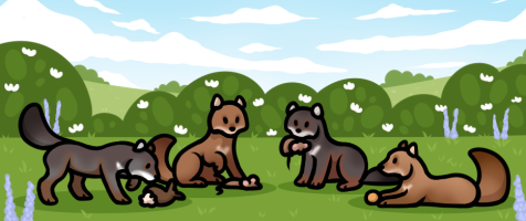 Submission thumbnail