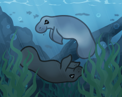 Submission thumbnail