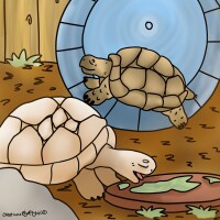 Submission thumbnail