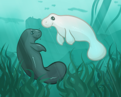 Submission thumbnail