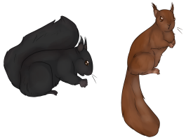 Submission thumbnail