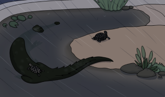 Submission thumbnail