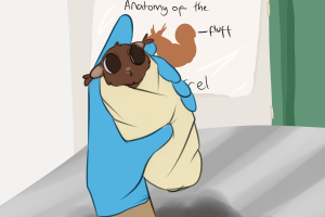 Submission thumbnail