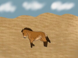 Submission thumbnail