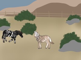 Submission thumbnail