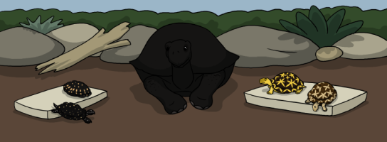 Submission thumbnail