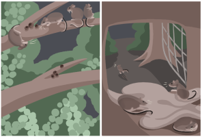 Submission thumbnail