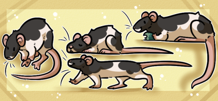 Submission thumbnail