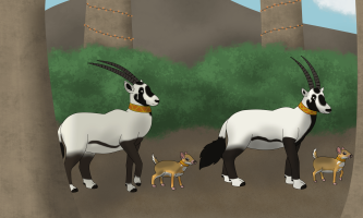 Submission thumbnail