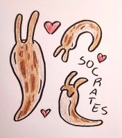 Submission thumbnail