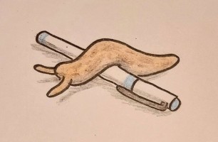 Submission thumbnail