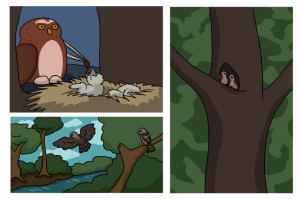 Submission thumbnail