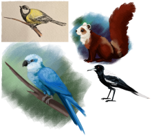 Submission thumbnail