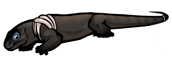 Submission thumbnail