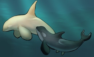 Submission thumbnail