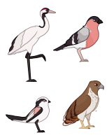 Submission thumbnail