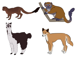 Submission thumbnail